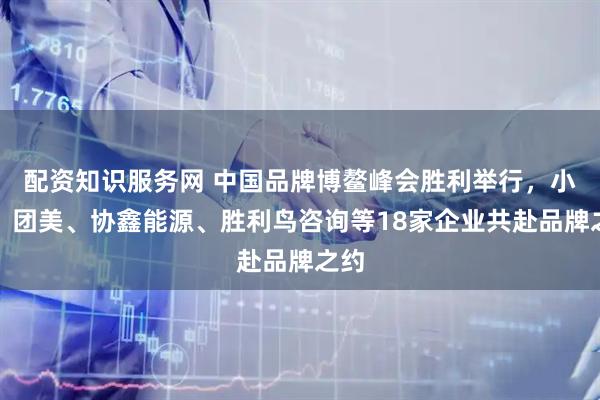 配资知识服务网 中国品牌博鳌峰会胜利举行，小米、团美、协鑫能源、胜利鸟咨询等18家企业共赴品牌之约