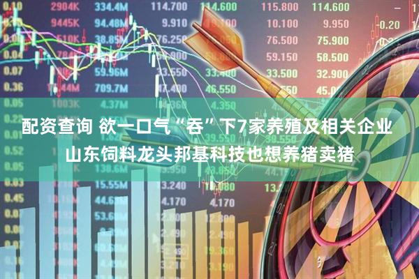 配资查询 欲一口气“吞”下7家养殖及相关企业 山东饲料龙头邦基科技也想养猪卖猪