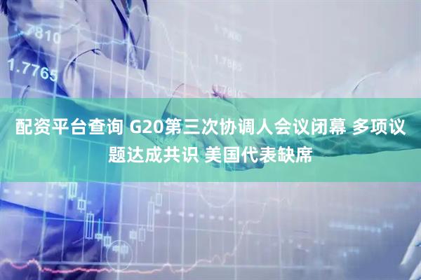 配资平台查询 G20第三次协调人会议闭幕 多项议题达成共识 美国代表缺席