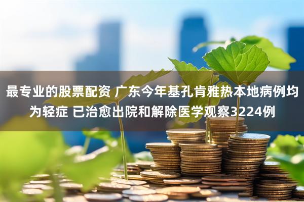 最专业的股票配资 广东今年基孔肯雅热本地病例均为轻症 已治愈出院和解除医学观察3224例